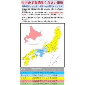 レインポンチョ 子供 アウトドア プロダクツ ...の詳細画像1