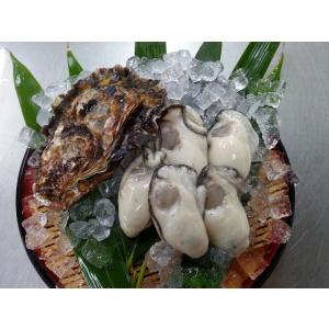 広島県産生牡蠣　むき身300ｇと殻付き1kg（約6個程度）かき小町 　生産者直送