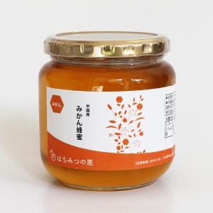 つかもと養蜂場 山の花々のはちみつ ( 300g ) はちみつ 百花蜜 つかもと養蜂場 山の花々のはちみつ ( 300g ) はちみつ 百花蜜
