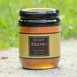 つかもと養蜂場 山の花々のはちみつ ( 300g ) はちみつ 百花蜜 つかもと養蜂場 山の花々のはちみつ ( 300g ) はちみつ 百花蜜