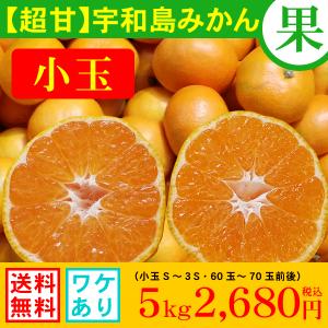 ◎味濃◎　愛媛・宇和島みかん　5kg2,680円　送料無料/わけあり/小玉/温州/南柑20号