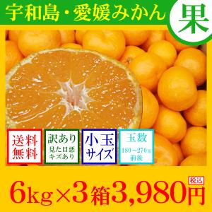 みかん　（送料無料　わけあり　小玉）　超甘・宇和島・愛媛みかん　6kg×3箱3,980円