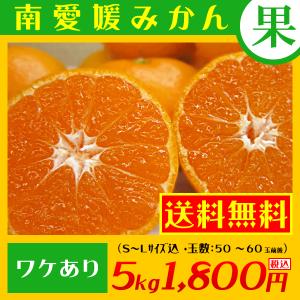 (みかん ミカン)　訳あり　南愛媛みかん　５kg１,８００円（税込）　　【　送料無料　】　わけあり　ワケあり