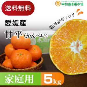 ＼値下げしました／ 甘平 かんぺい 5kg 家庭用 愛媛県 宇和島産 みかん 送料無料※一部地域を除く