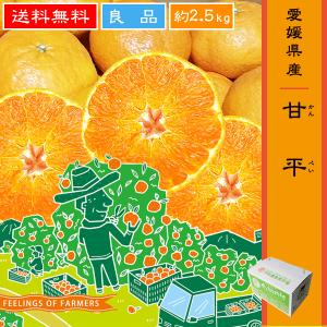 ※2箱分のご注文で大増量中！※　【甘平（かんぺい）　2.5kg】　愛媛県・宇和島産　”良品”　送料無料