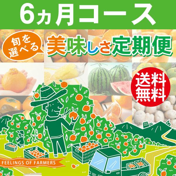 旬を選べる美味しさ定期便 6ヵ月コース 愛媛県・宇和島産 みかん柑橘＆野菜 送料無料※一部地域を除く