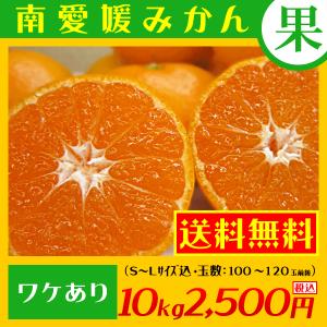 (みかん ミカン)　≪大好評御礼！２kg増量のおまけ付き！≫　訳あり　南愛媛みかん　１０kg＋≪２kg増量≫２,５００円（税込）　　【　送料無料　】