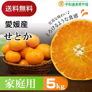せとか 5kg 家庭用 愛媛県 宇和島産 送料無料※一部地域を除く