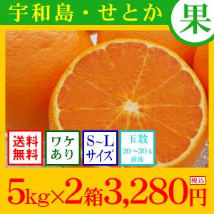 せとか　（送料無料　わけあり　サイズ込）　宇和島せとか　5kg×2箱　3,280円