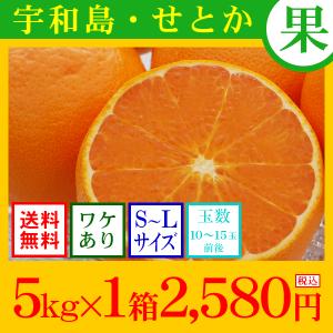 せとか　（ご予約品　送料無料　わけあり　サイズ込）　宇和島せとか　5kg×1箱　2,580円