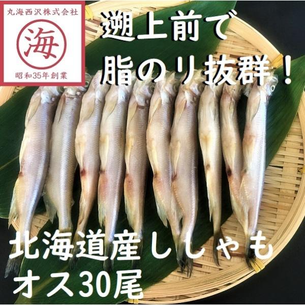 【価格変更】【適度な脂のリ！】北海道産ししゃもオス30尾　シシャモ　ギフト　柳葉魚