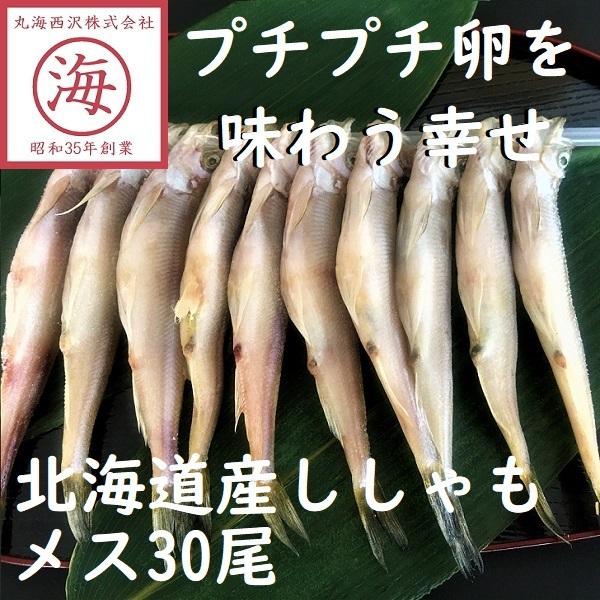 【価格変更】【卵の旨みを堪能できる！】北海道産ししゃもメス30尾　シシャモ　ギフト　柳葉魚
