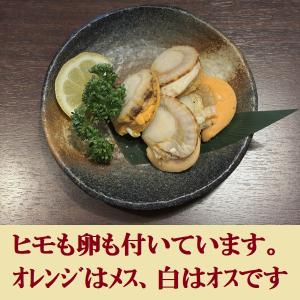 【たっぷり800g】北海道産 冷凍ボイル帆立 ...の詳細画像3