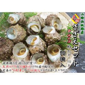 山陰浜坂港産＜天然＞さざえセット(中サイズ)　約80〜110g×10個セット＞