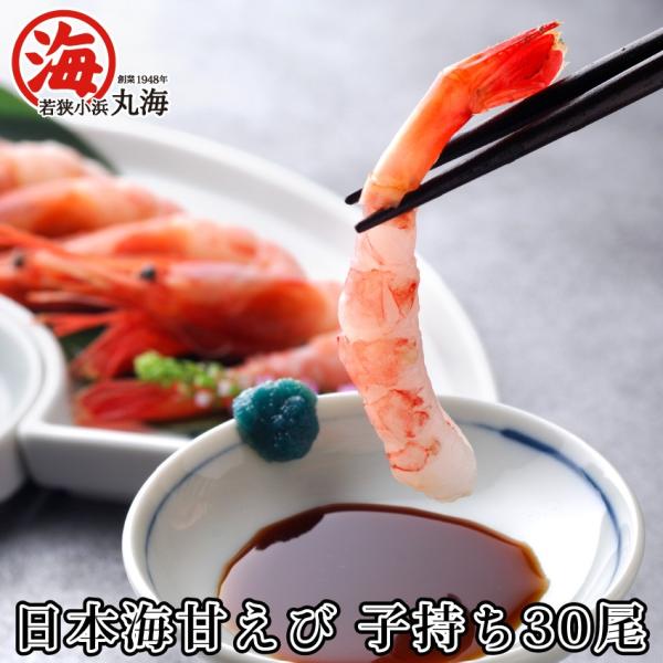 日本海 とれたてを生きたまま船の上で急速凍結！ 甘えび 子持ち 30尾入り 特大サイズ 誕生日 贈り...