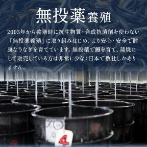 うなぎ蒲焼き 国産 約200g×1尾 完全無投...の詳細画像5