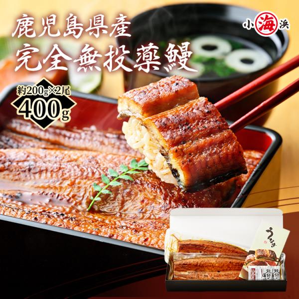 SALE中 父の日 無投薬 鹿児島県産 特大 うなぎ蒲焼き 約200g 2尾 化粧箱入 人気 長焼 ...