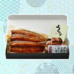 うなぎ蒲焼き 国産 約200g×3尾 完全無投...の詳細画像2