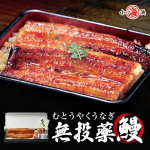 うなぎ 蒲焼き 鰻 国産 鹿児島県産 無投薬 約140g×1尾 化粧箱 ギフト プレゼント 誕生日 お中元 父の日 御祝い うなぎ蒲焼き ウナギ｜小浜海産物 Yahoo!店