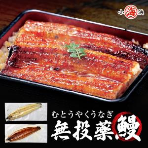 鹿児島県産 うなぎ 蒲焼き1尾+白焼き1尾 2尾約400g