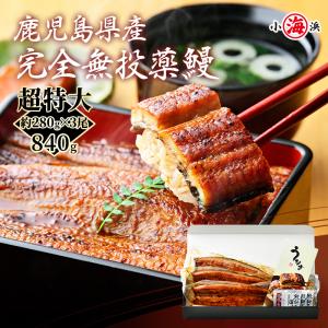超特大 うなぎ蒲焼き 国産 約280g×3尾 完全無投薬 鹿児島県産 人気 特大サイズ 化粧箱入 蒲焼きうなぎ蒲焼き うなぎ 爆買