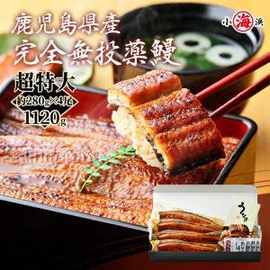 超特大 うなぎ蒲焼き 国産 約280g×4尾 完全無投薬 鹿児島県産 人気 特大サイズ 化粧箱入 蒲焼きうなぎ蒲焼き うなぎ 爆買｜小浜海産物 Yahoo!店
