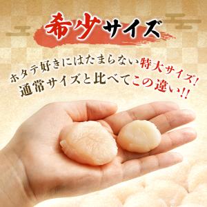 おすすめ 希少な特大 ジャンボサイズ ホタテ貝...の詳細画像3