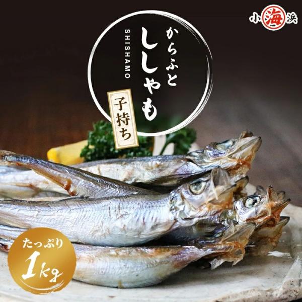 ししゃも 子持ち 干物 からふとししゃも 1kg(500g×2パック) 卵率15%以上 アイスランド...