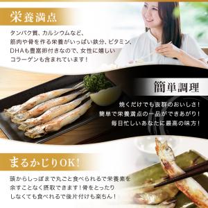 国内生産 子持ちからふとししゃも 1kg (5...の詳細画像1