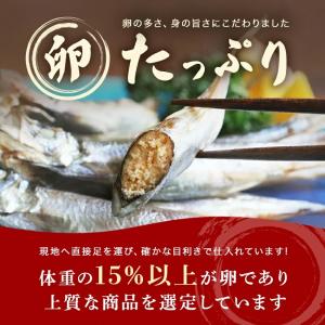 国内生産 子持ちからふとししゃも 1kg (5...の詳細画像2