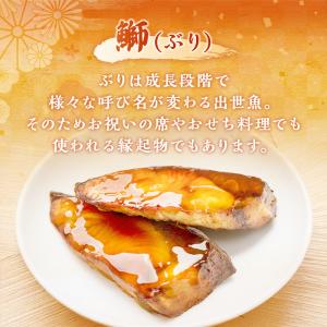 ぶり切り身 600g (30g×20切) 骨な...の詳細画像1