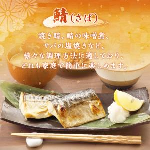 さば切り身 600g (30g×20切) 骨な...の詳細画像1