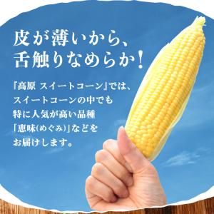 とうもろこし スイートコーン 大分 卯野農場 ...の詳細画像3