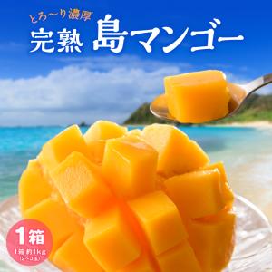 【送料無料】 ＼数量限定／ 完熟 島マンゴー 1箱 約1kg(2玉〜3玉) 完熟マンゴー 九州 鹿児島 奄美大島 国産 お取り寄せ ご当地 産地直送 ギフト クール便｜marukajiri-kyushu