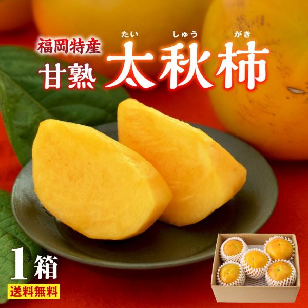 太秋柿 柿 甘柿 福岡 かき 甘熟 1箱 約2kg 秀品 L〜2L 甘い たいしゅうがき サクサク ...