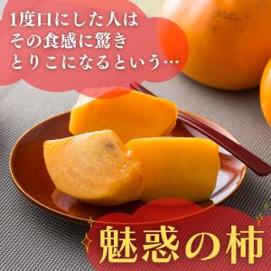 太秋柿 柿 甘柿 福岡 かき 甘熟 1箱 約2...の詳細画像1