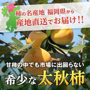 太秋柿 柿 甘柿 福岡 かき 甘熟 1箱 約2...の詳細画像4