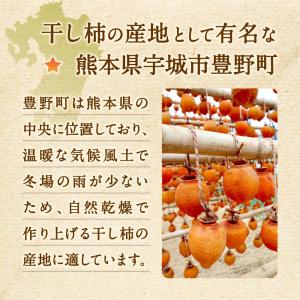 干し柿 ドライフルーツ 熊本 送料無料 1パッ...の詳細画像2