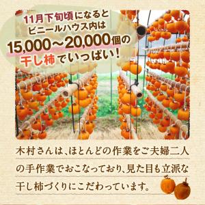 干し柿 ドライフルーツ 熊本 送料無料 1パッ...の詳細画像4