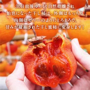 干し柿 ドライフルーツ 熊本 送料無料 1パッ...の詳細画像5