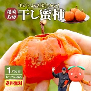 干し柿 福岡 干柿 ドライフルーツ 送料無料 1...の商品画像