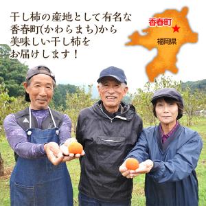 干し柿 福岡 干柿 ドライフルーツ 送料無料 ...の詳細画像1