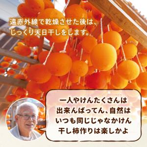 干し柿 熊本 送料無料 一粒干し柿 里のあかり...の詳細画像5