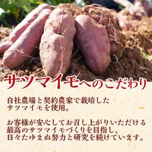 熊本 いきなり団子 団子 詰め合わせ 1セット...の詳細画像3