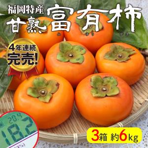 ＼完売御礼！／ 【送料無料】福岡特産 “産直特価” 甘熟 富有柿 3箱 約6kg 富有柿 秀品 種あり 甘い 柿 かき うきは 田主丸