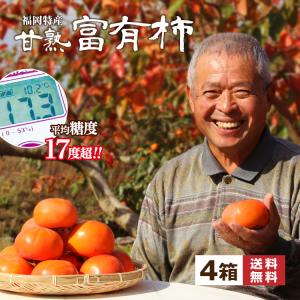 福岡県産 冷蔵柿 富有柿 秀品 L〜2Lサイズ 5kg（箱） : 生鮮卸売市場