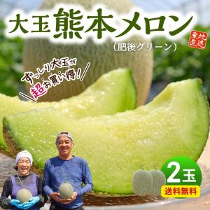 Panpanpanda　熊本県産　アンデスメロン【青肉】 2L×2箱セット 熊本県産メロン 赤肉×青肉 食べ比べセット 秀品 2玉 4玉 アンデス