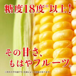 まもなく終売 とうもろこし スイートコーン 大...の詳細画像1
