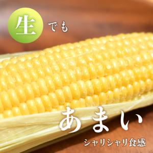 まもなく終売 とうもろこし スイートコーン 大...の詳細画像5