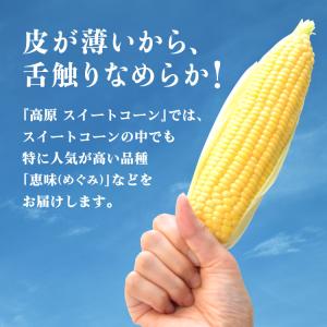 まもなく終売 とうもろこし スイートコーン 大...の詳細画像3